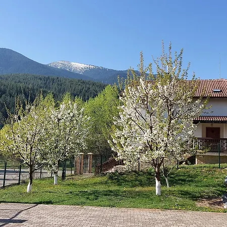 홀리데이파크 19 Rose