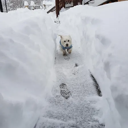 19 Rose База отдыха Банско