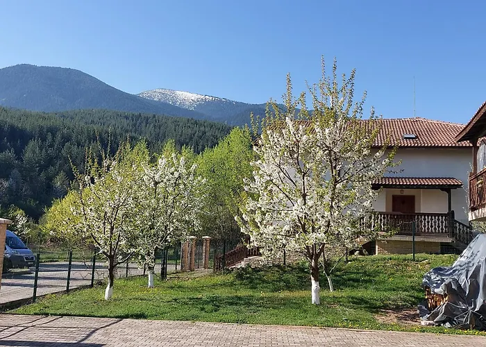 Holiday park 19 Rose